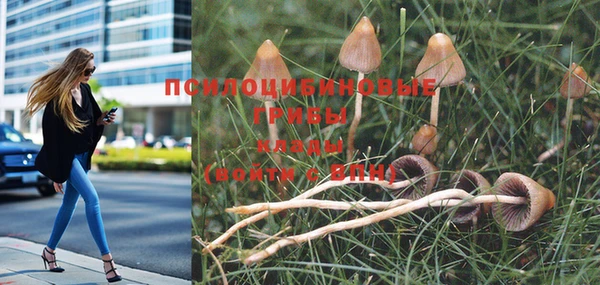 тгк Покровск