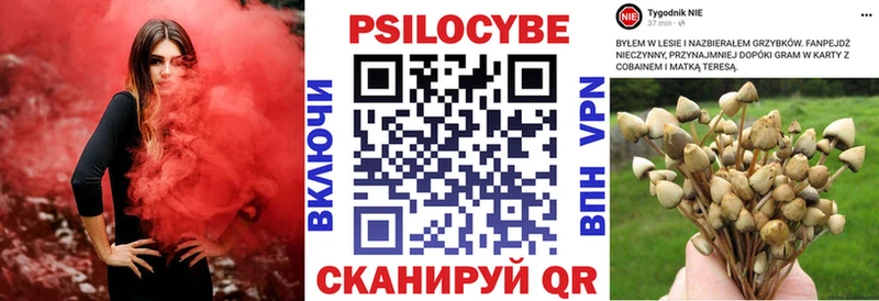 где продают   Кодинск  Псилоцибиновые грибы GOLDEN TEACHER 