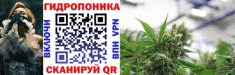 купить закладку Кодинск Каннабис гибрид